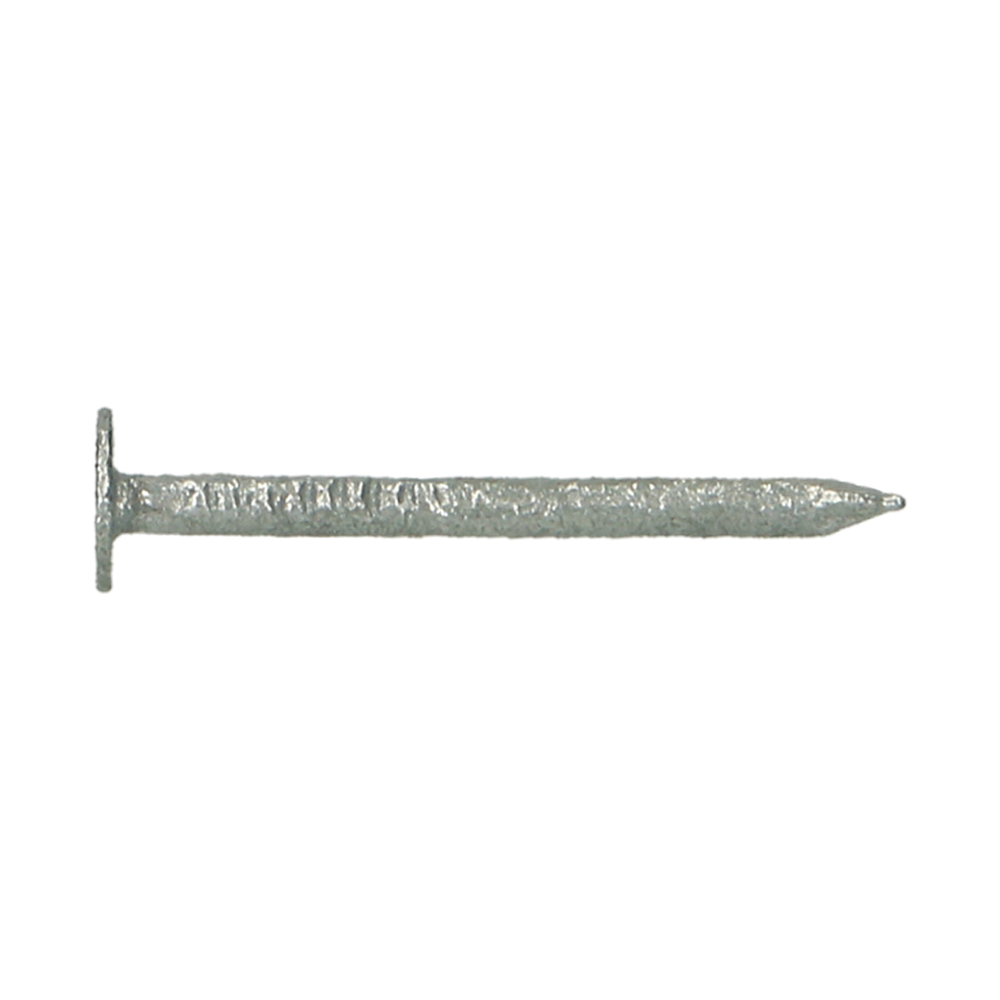 pgb-Europe PGB-FASTENERS | Plafonneernagel Ø 2,00x25 Tvz 0000PN010002000253
