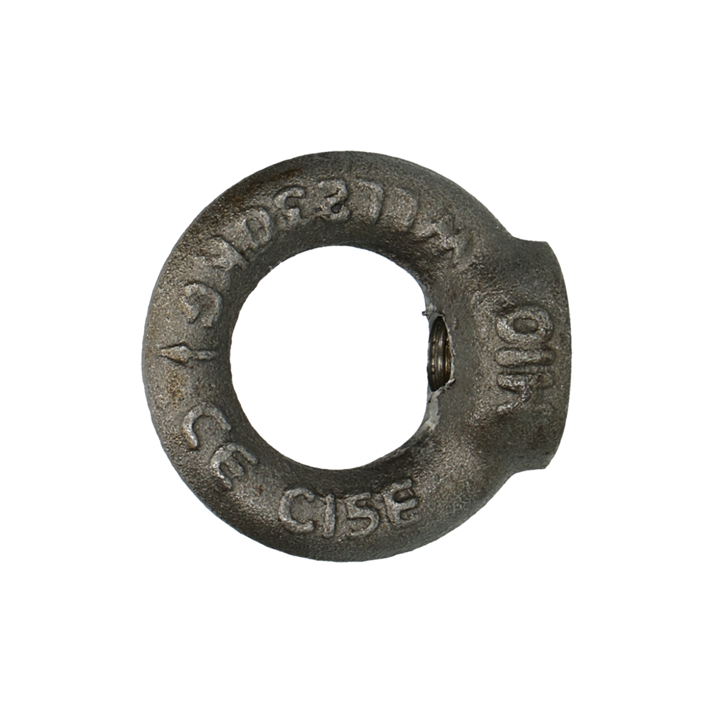 pgb-Europe PGB-FASTENERS | Ringmoer C15E DIN 582 M10 | 50 st 58200001003