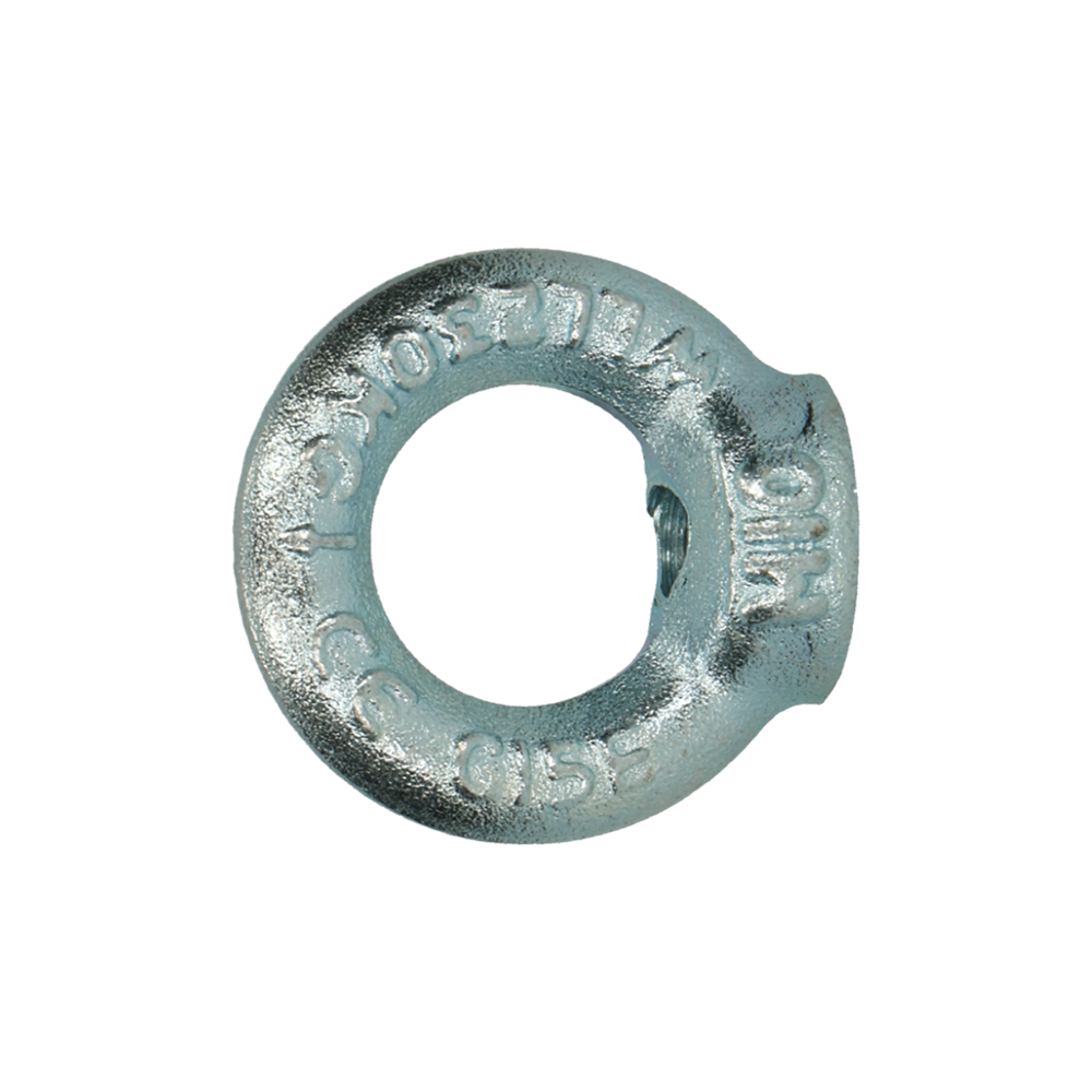 pgb-Europe PGB-FASTENERS | Ringmoer C15E DIN 582 M 6 Zn | 50 st 58200100603
