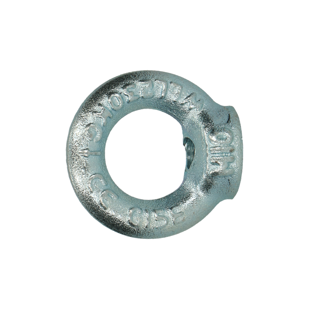 pgb-Europe PGB-FASTENERS | Ringmoer C15E DIN 582 M16 Zn | 25 st 58200101603
