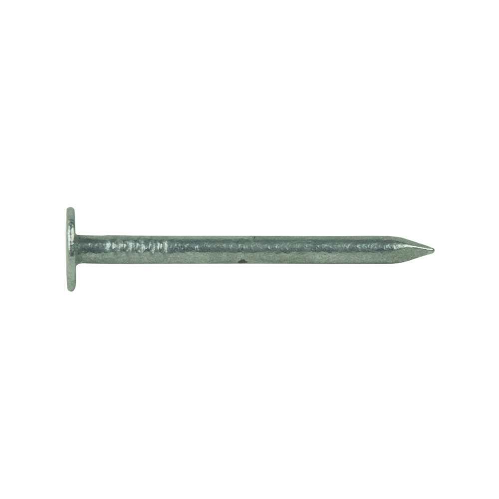 pgb-Europe PGB-FASTENERS | Schalienagel EBK D.1160B Ø 2,70x30 Tvz 0SNEBK010002700303