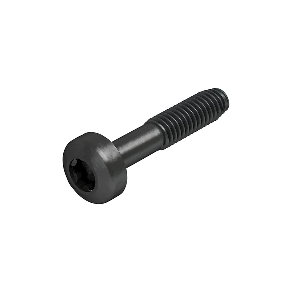 GB Sherpa borgschroef tbv M-serie 4x20/12 RVS A2 | 20 stuks - GB09125305