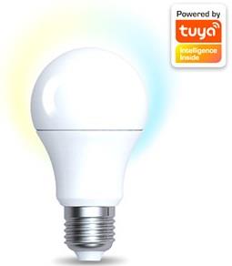 Enzo Denver LED GLS mat wit E27 9W dimbaar SMART Wi-Fi TUYA LED5010