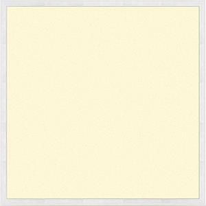 Tsong LED backlit paneel 600x600mm 36W 4000K 3960lm - 9001299