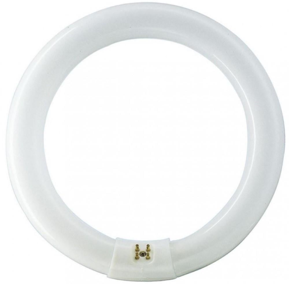 Philips Ronde TL 40W/840 TLE coolwhite Philips 5900617