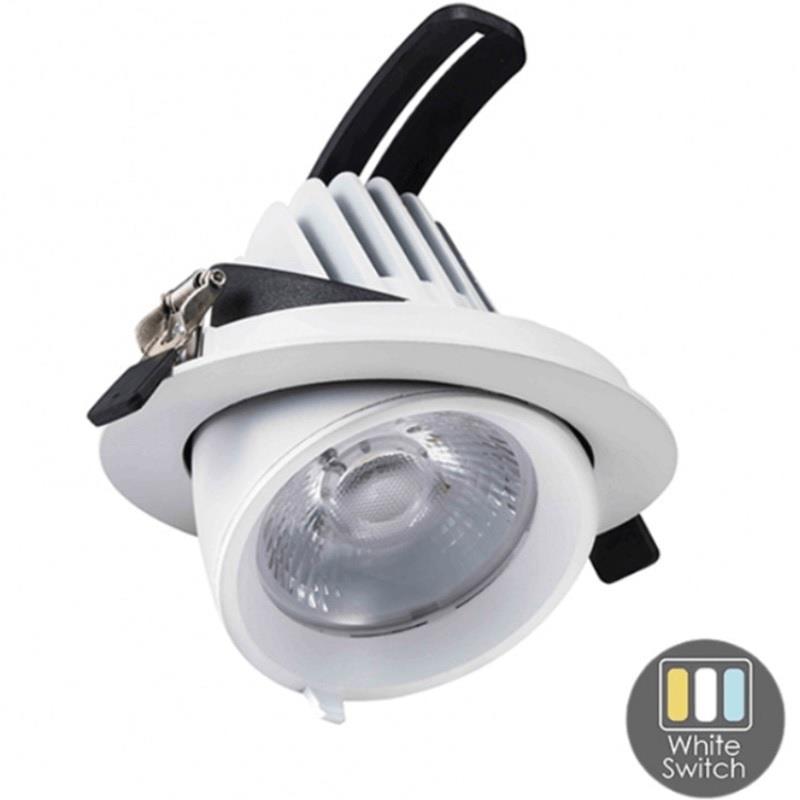 Enzo CCT LED downlighter wit 30W banaan model 45gr. Tri-White LED2380