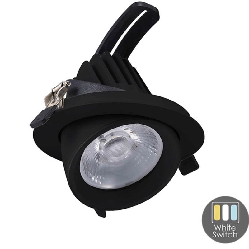 Enzo CCT LED downlighter zwart 30W banaan model 45gr. Tri-White LED2385