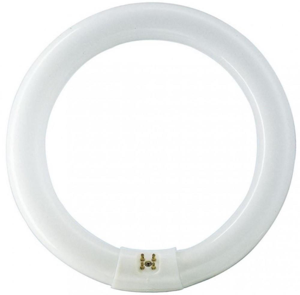Philips Ronde TL 32W/840 TLE Coolwhite Philips 5900612