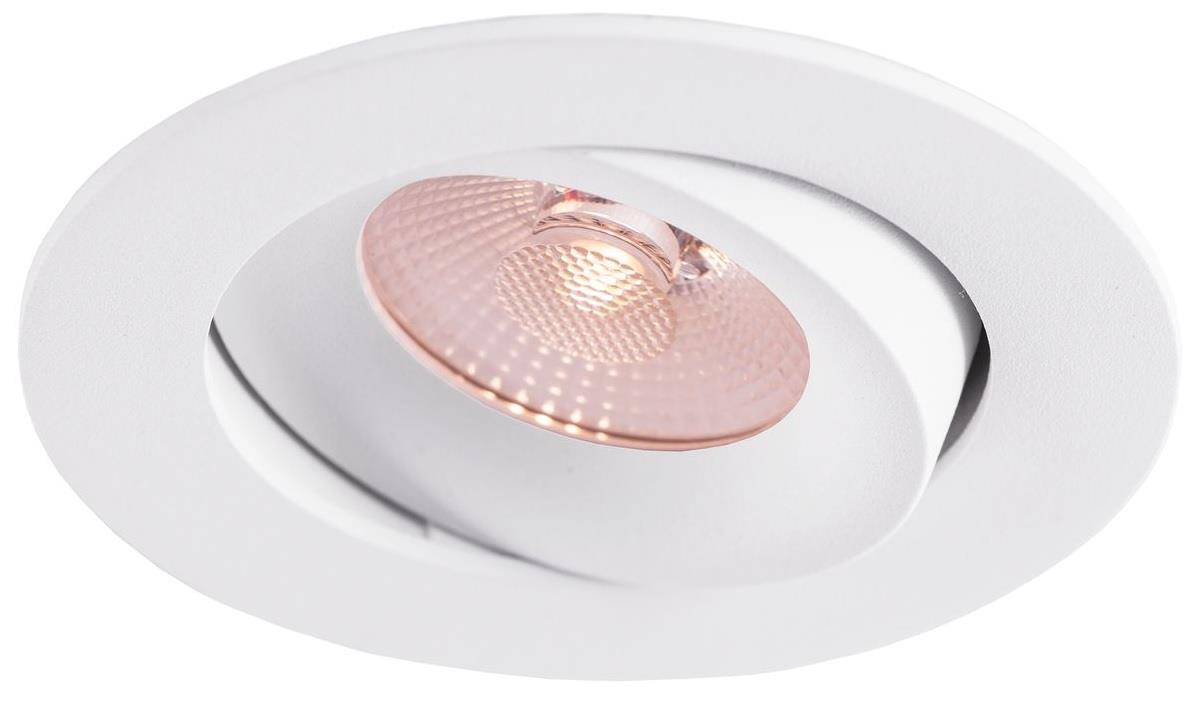 Enzo Thorgeon LED inbouwspot 8 2W DimToWarm 96mm rond verstelbaar wit LED4680