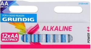 Enzo Grundig Alkaline batterij AA doos a 12 3016002