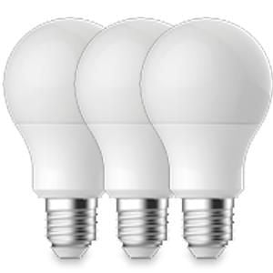 Enzo Energetic LED GLS E27 13 3-100W 2700K mat doos a3 2740044