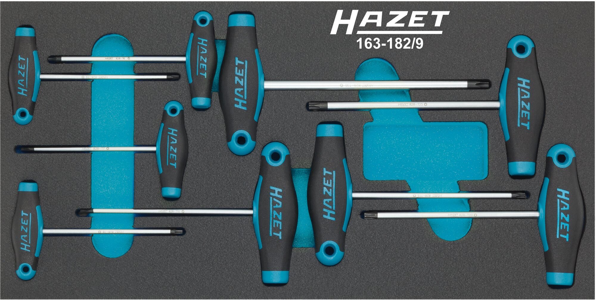 HAZET Schroevendraaierset · met T-greep 163-182/9 · Binnen-TORX®-profiel · 9-delig · T6 · T7 · T8 · T9 · T10 · T15 · T20 · T25 · T30
