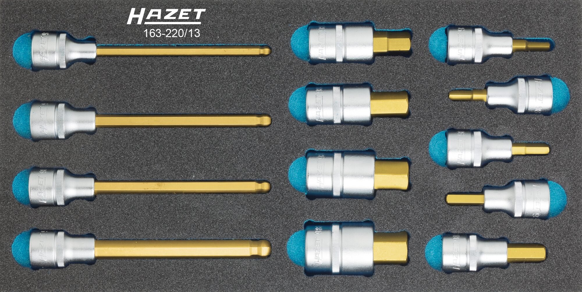 HAZET Dopsleutelbitset 163-220/13 · 1/2 inch (12,5 mm) vierkant hol · Binnen-zeskant-profiel · 13-delig · 5 - 10