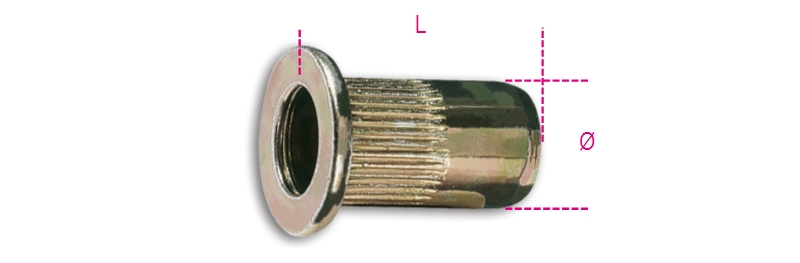 Beta 1742R-A Aluminium Nagel Met Draad M12 - 017420022