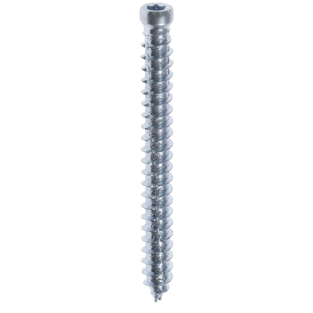 KOZIJNSCHROEF 7,5X82MM CK TX25 (100)