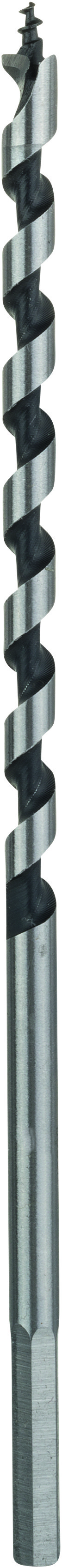 Bosch Accessoires Houtslangenboor, zeskant 6 x 100 x 160 mm, d 4,8 mm 1st - 2608585694