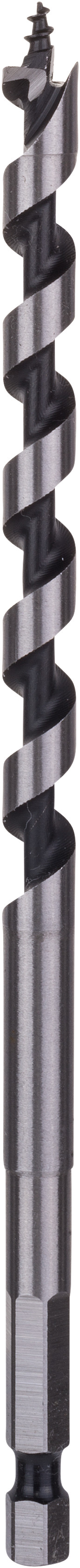Bosch Accessoires Houtslangenboor, zeskant 8 x 100 x 160 mm, d 6,35 mm 1st - 2608585696
