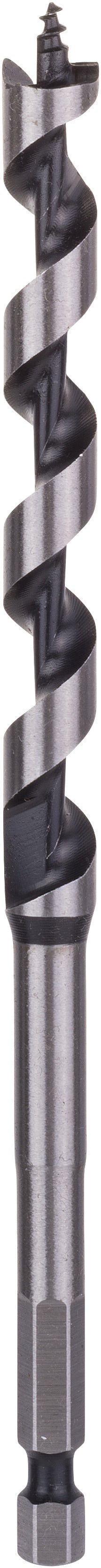 Bosch Accessoires Houtslangenboor, zeskant 10 x 100 x 160 mm, d 6,35 mm 1st - 2608585697