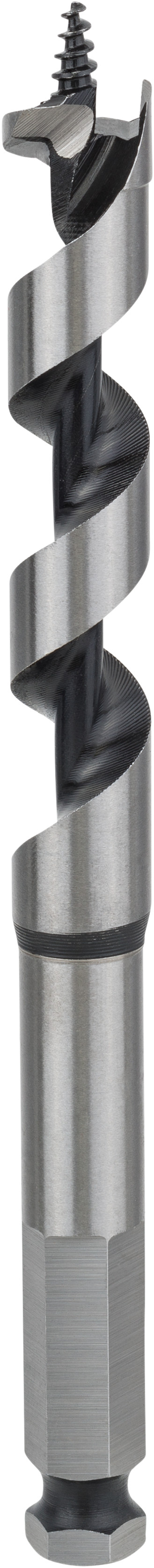 Bosch Accessoires Houtslangenboor, zeskant 15 x 100 x 160 mm, d 11,1 mm 1st - 2608585702