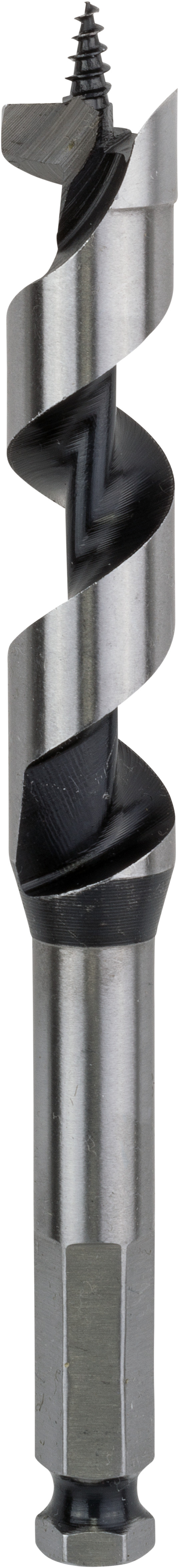 Bosch Accessoires Houtslangenboor, zeskant 18 x 100 x 160 mm, d 11,1 mm 1st - 2608585704