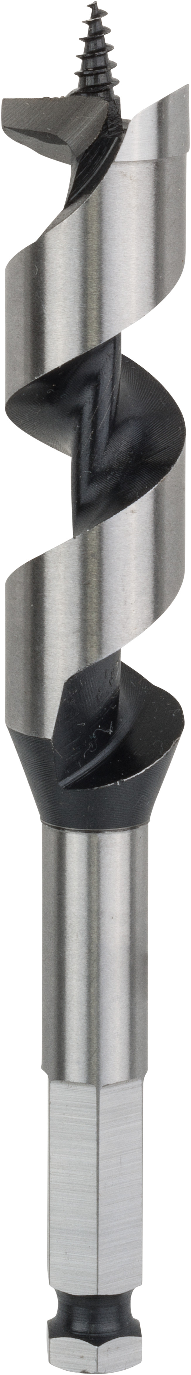 Bosch Accessoires Houtslangenboor, zeskant 22 x 100 x 160 mm, d 11,1 mm 1st - 2608585706