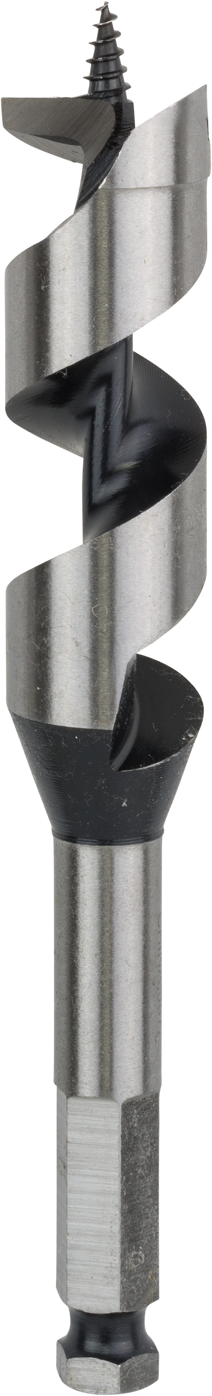 Bosch Accessoires Houtslangenboor, zeskant 24 x 100 x 160 mm, d 11,1 mm 1st - 2608585707