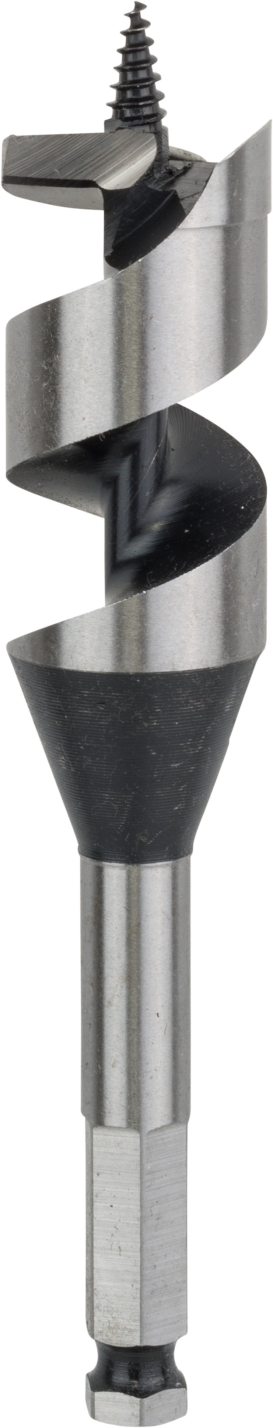 Bosch Accessoires Houtslangenboor, zeskant 30 x 100 x 160 mm, d 11,1 mm 1st - 2608585711