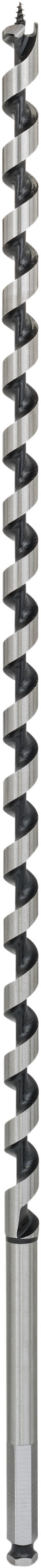 Bosch Accessoires Houtslangenboor, zeskant 14 x 470 x 600 mm, d 11,1 mm 1st - 2608585718