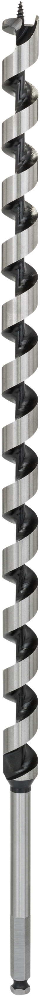 Bosch Accessoires Houtslangenboor, zeskant 22 x 470 x 600 mm, d 11,1 mm 1st - 2608585722