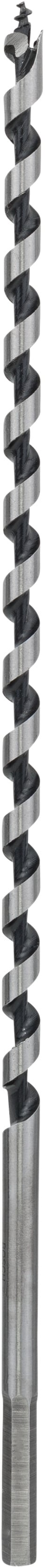 Bosch Accessoires Houtslangenboor, zeskant 6 x 160 x 235 mm, d 4,8 mm 1st - 2608597622