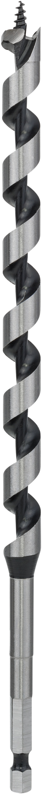 Bosch Accessoires Houtslangenboor, zeskant 12 x 160 x 235 mm, d 6,35 mm 1st - 2608597626