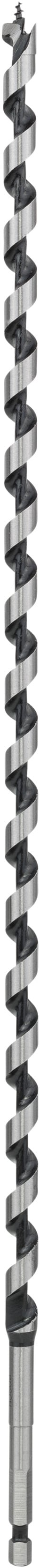 Bosch Accessoires Houtslangenboor, zeskant 10 x 360 x 450 mm, d 6,35 mm 1st - 2608597641