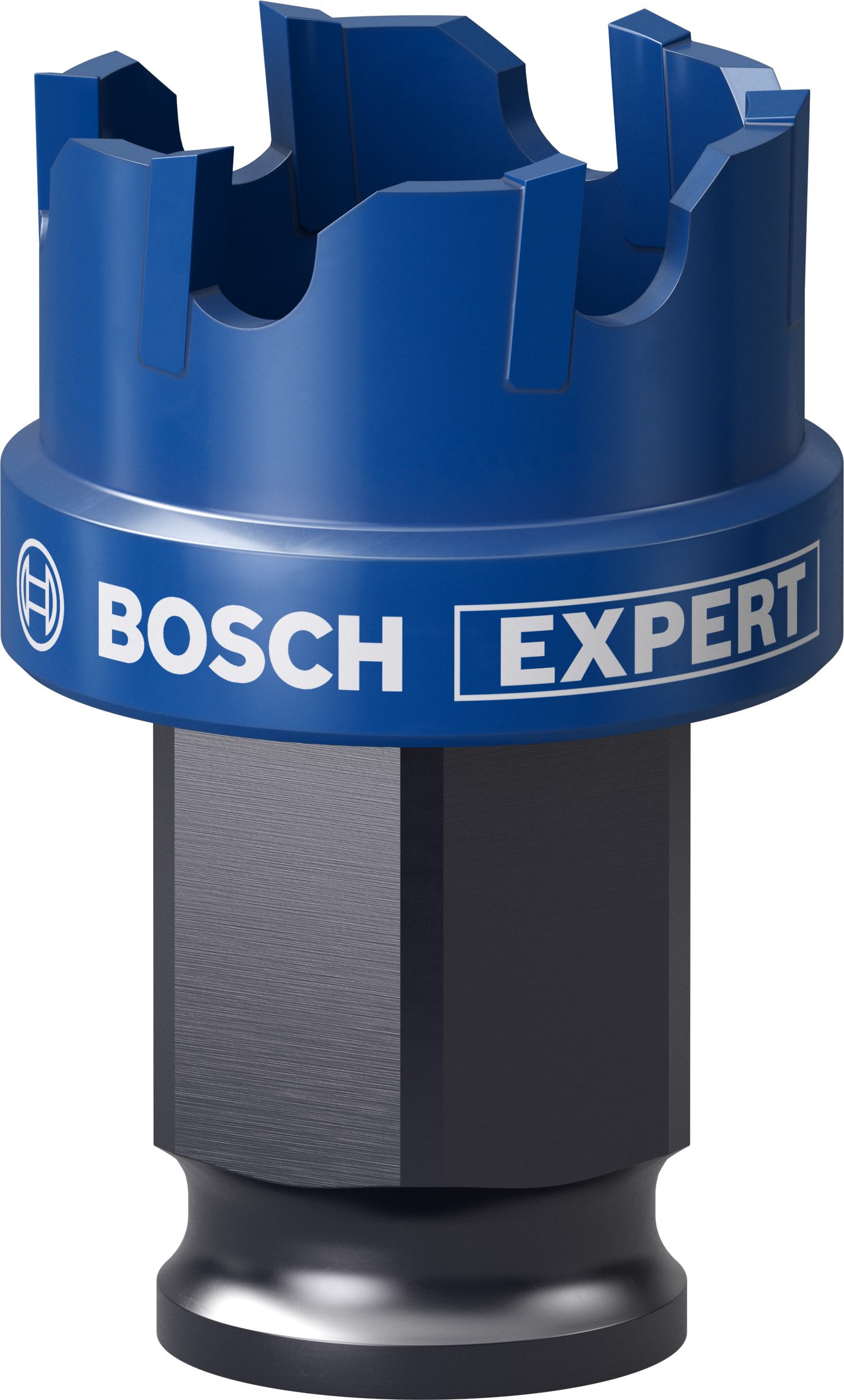Bosch Accessoires Expert Sheet Metal gatzaag 25 x 40 mm - 1 stuk(s) - 2608900494