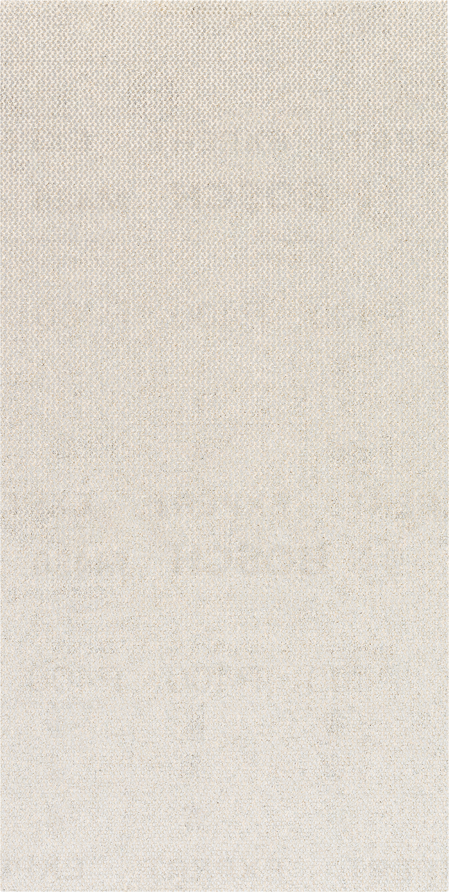 Bosch Accessoires EXPERT M480 Schuurnet 115 x 107 mm, K 80, 50-delig - 2608901627