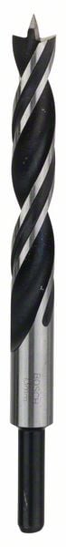 Bosch Accessoires Houtspiraalboren Standard 13 x 96 x 151 mm, d 10 mm 1st - 2608596310