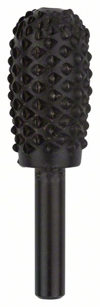 Bosch Accessoires Houtrasp en -vijlen 6 x 16 mm 1st - 2609200198