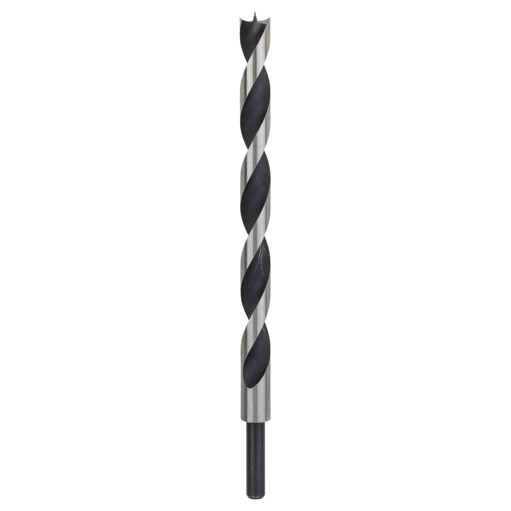 Bosch Accessoires Machinehoutboor met M-punt 16 x 250 mm, d 10 mm 1st - 2608597192