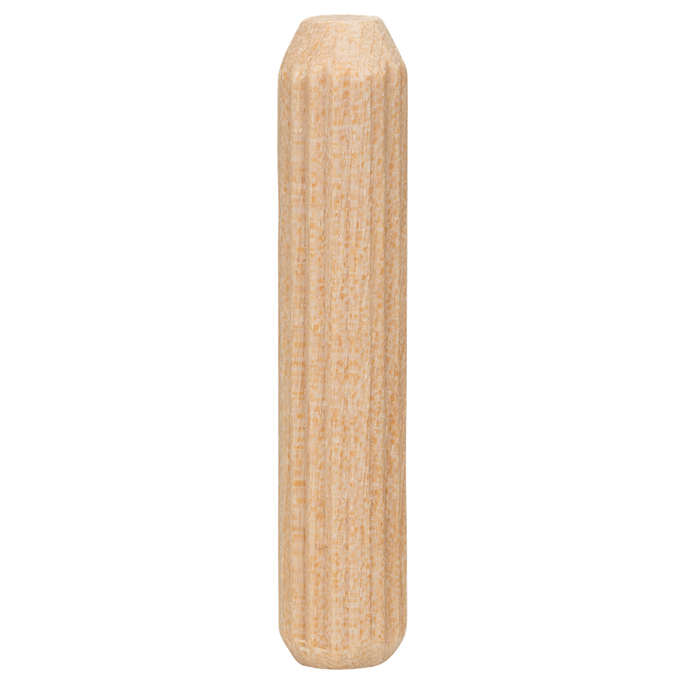 Bosch Accessoires Deuvel 10X40 mm | 120 stuks - 2609255314
