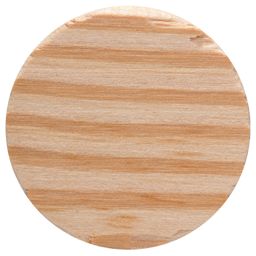 Bosch Accessoires Houten tappen 30X10 mm | 10 stuks - 2609255323