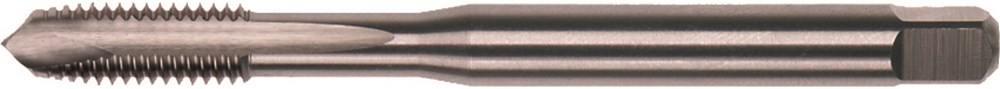 Rotec HSSE 800 M.Tap UNC 1/4-20 - 3380140