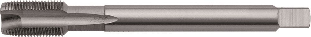 Rotec HSSE 800 M.Tap DIN 374-B MF M10 x 0,75 - 3351007