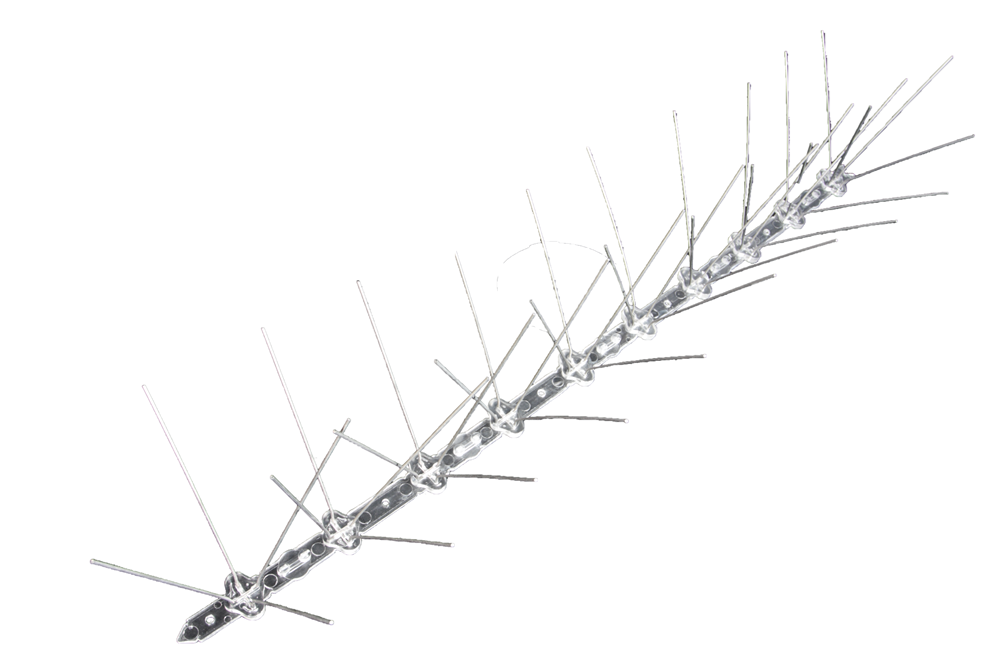 Waelbers Anti-Duivenstrip W-3 lengte 50 cm RVS - 1 Stuk(s) - 412046.99 afbeelding 1