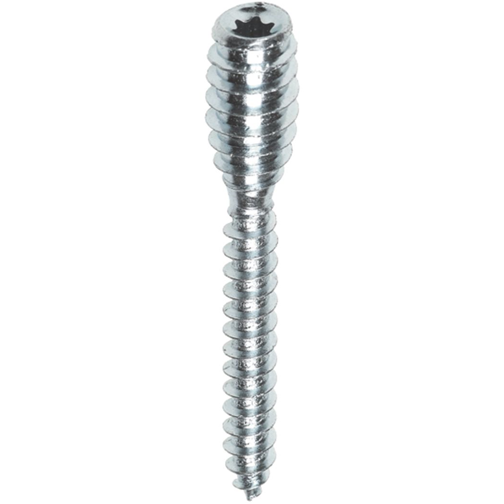 Woodies Ultimate verstelbare afstandschroef 6x 80 T25 verzinkt | 50 stuks - 42106511