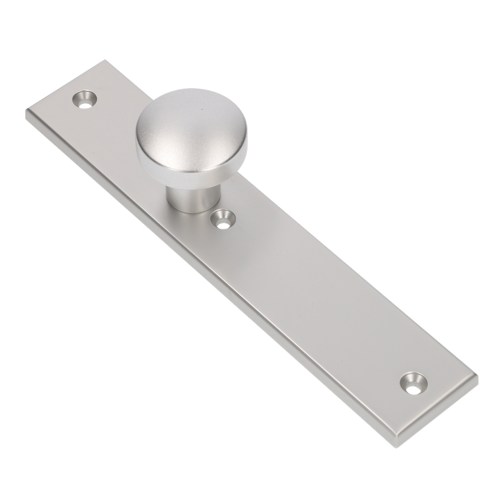 AMI Knop 169/50 Vast Langschild 251/50/8 Blind R6,5 F1 - 323960