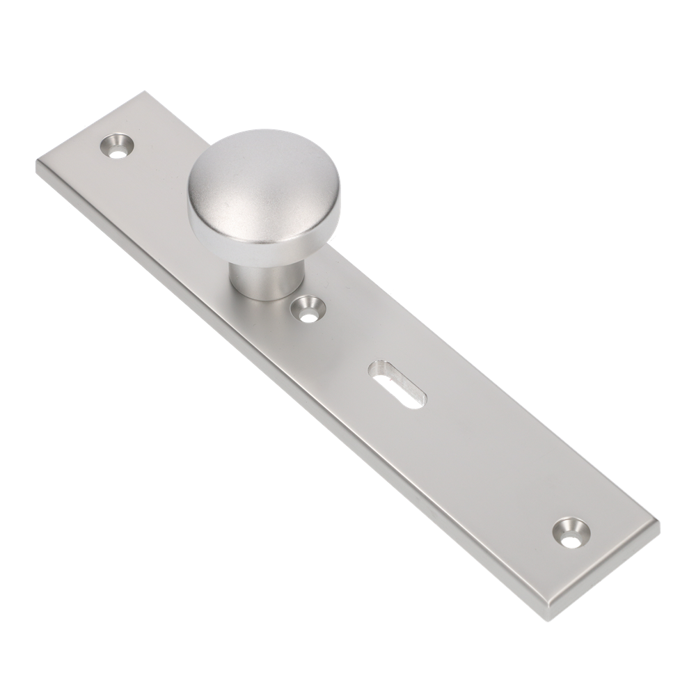 AMI Knop 169/50 Vast Langschild 251/50/8 Sl 56 R6,5 F1 - 323962