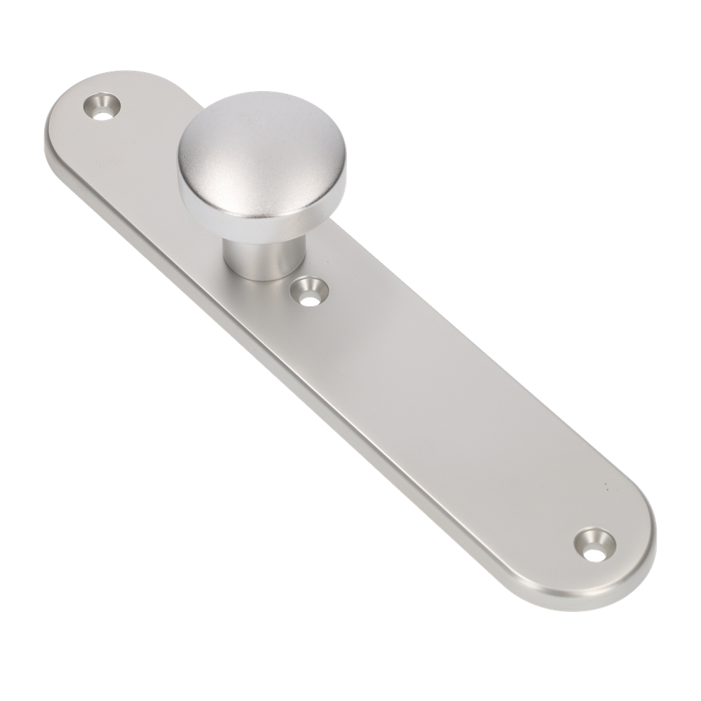 AMI Knop 169/50 Vast Langschild 250/50/1/8 Blind R6,5 F1 - 323980
