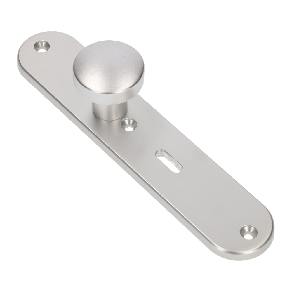 AMI Knop 169/50 Vast Langschild 250/50/8/1 Sl 56 R6,5 F1 - 323982