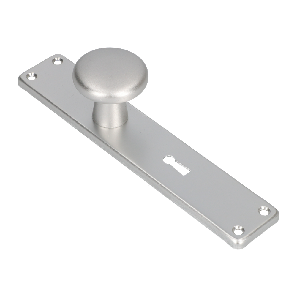 AMI Knop 160/50 Vast Langschild 212/41 RH Sl 56 F1 - 313792