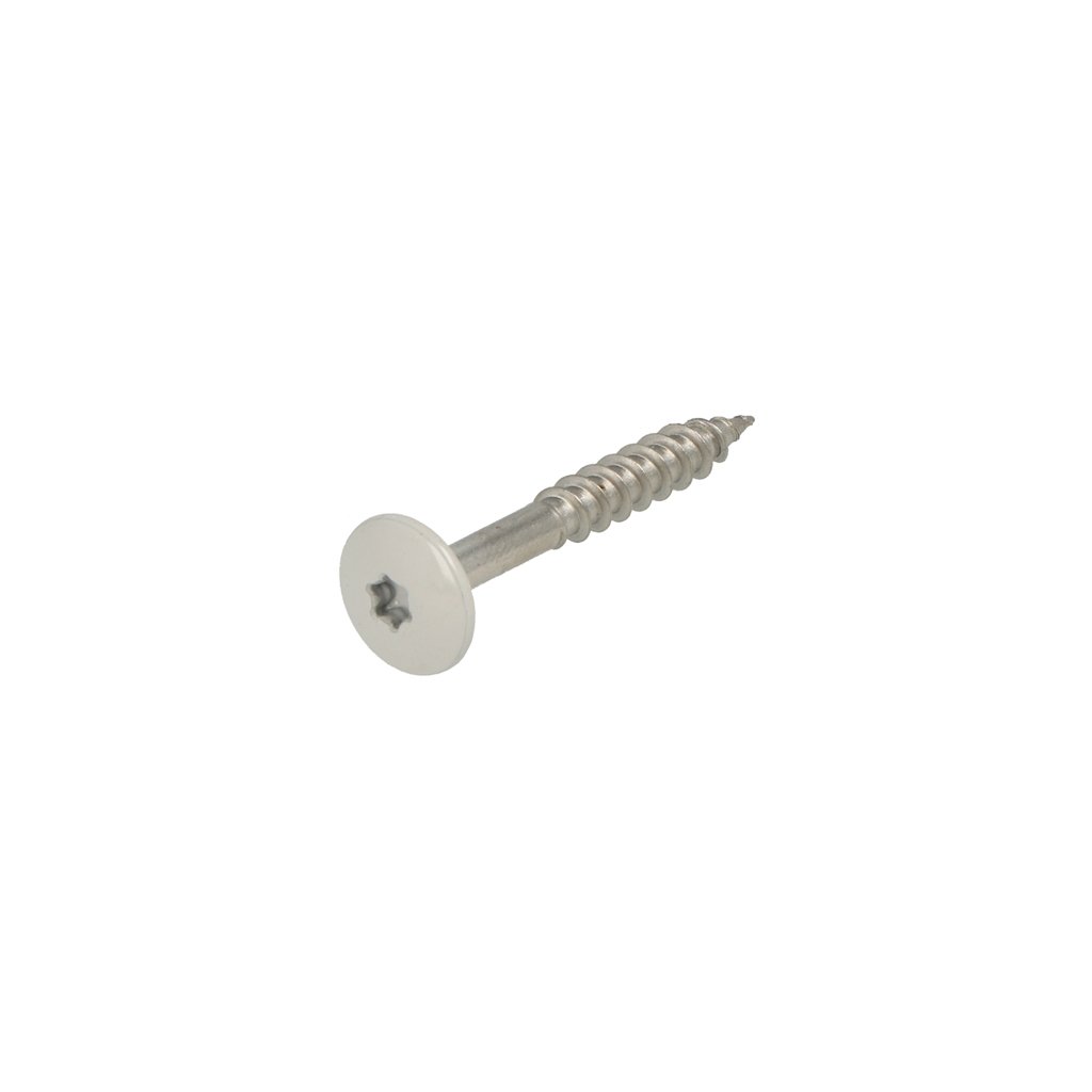 Hoenderdaal Fasteners Hoenderdaal Hpl Schroef Rvs-A2 Torx TX20 Lichtgrijs Ral7035 4.8X38 | 100 stuks 0346.30.37538