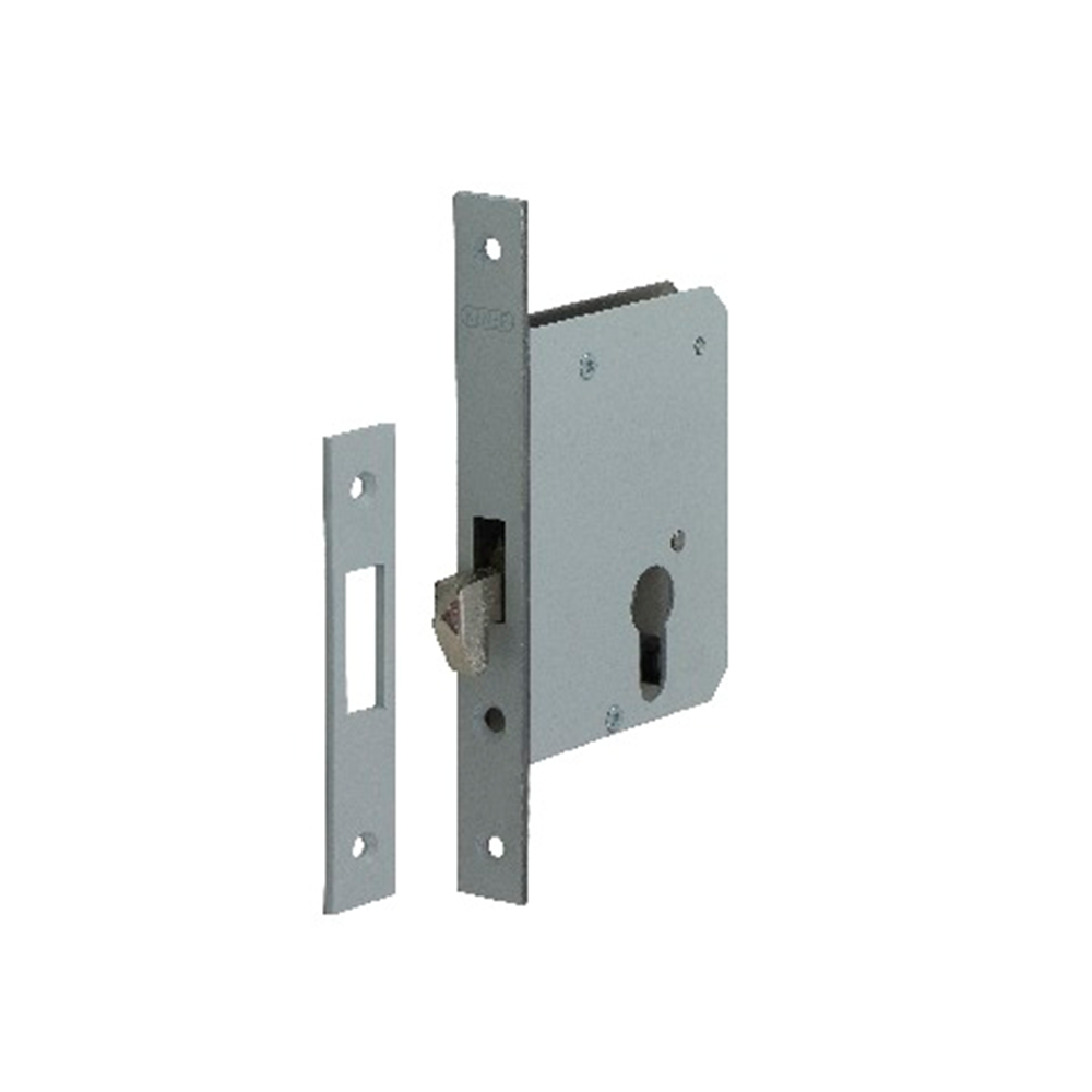 Nemef 698 Schuifdeurslot | DM55mm | voorplaat staal gelakt 20x170mm rechthoekig | stalen verende haakschoot | sluitplaat P 698 | DR 1+2+3+4 -